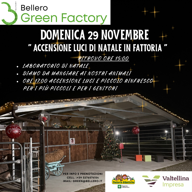 MAGIA DI NATALE IN FATTORIA!