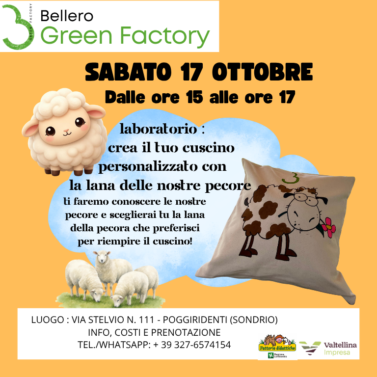 Laboratorio: un cuscino da sogno