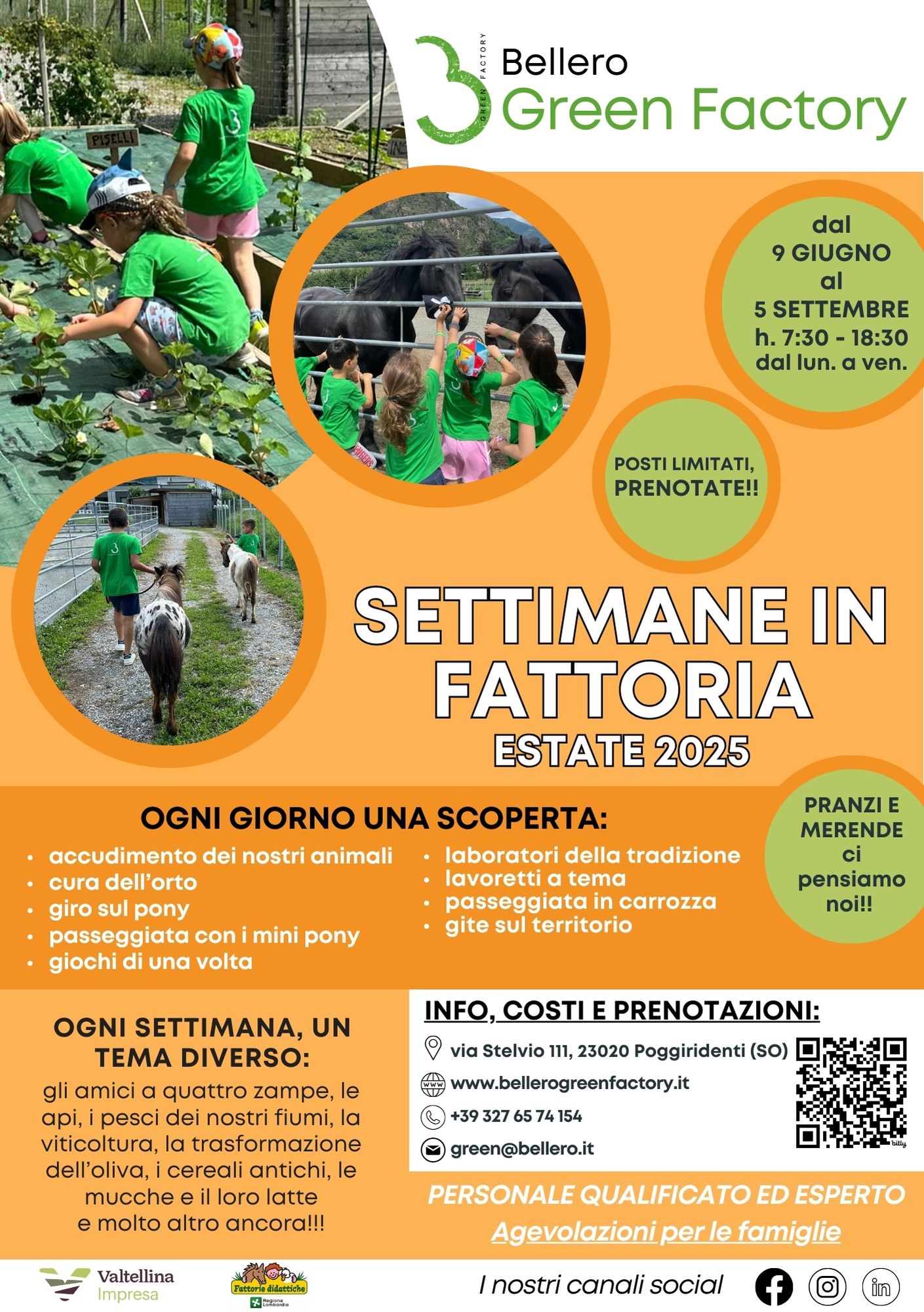 SETTIMANE ESTIVE IN FATTORIA 2025