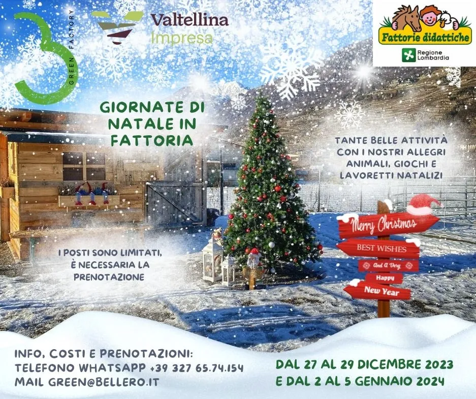Giornate di Natale in Fattoria