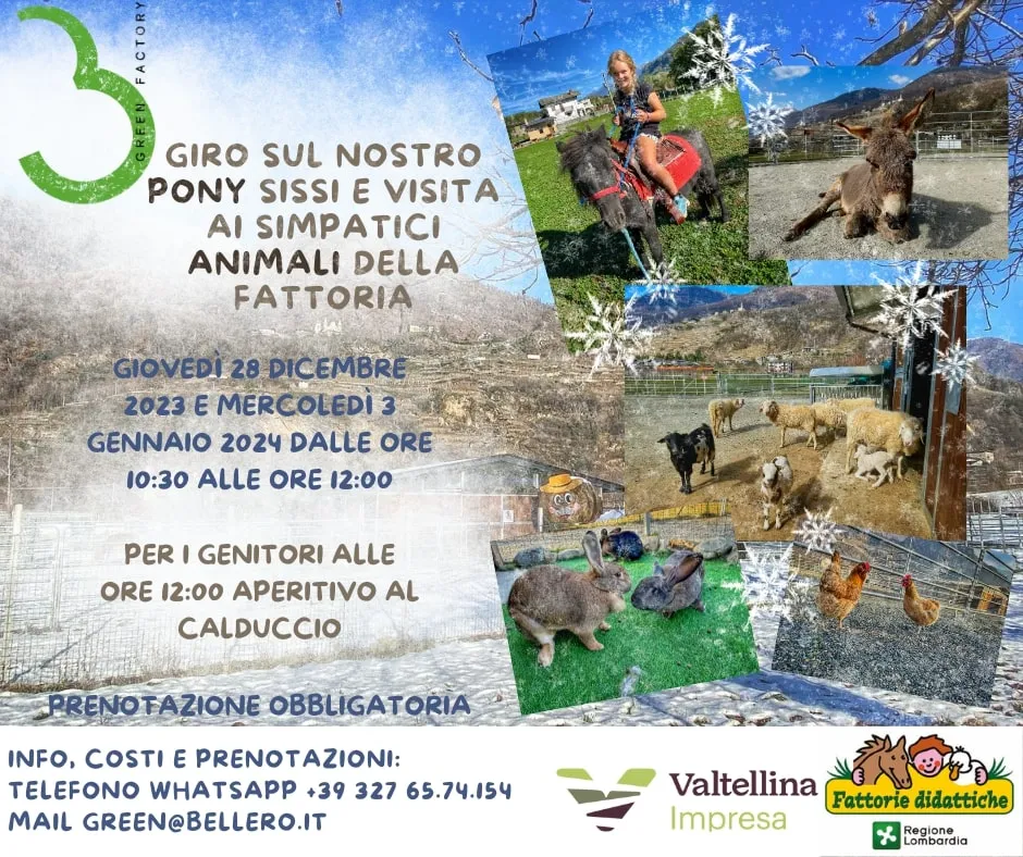 Visita la fattoria nelle vacanze di Natale🎄